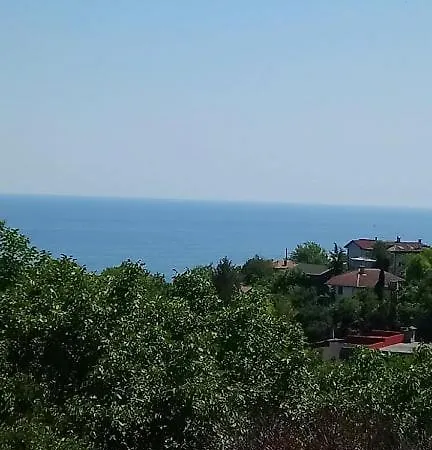 Guesthouse Elly *